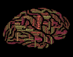 Words in a brain to highlight brain function regions.