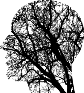 unknown g7a258a943 640