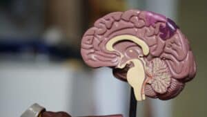 A TBI can disrupt your life and derail you from your goals. Individual mental health therapy near Milwaukee, WI can help you heal emotionally and mentally.